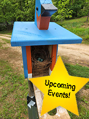 Bluebird nesting boxes